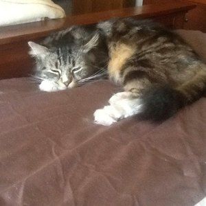 Meet your Posher, Mary